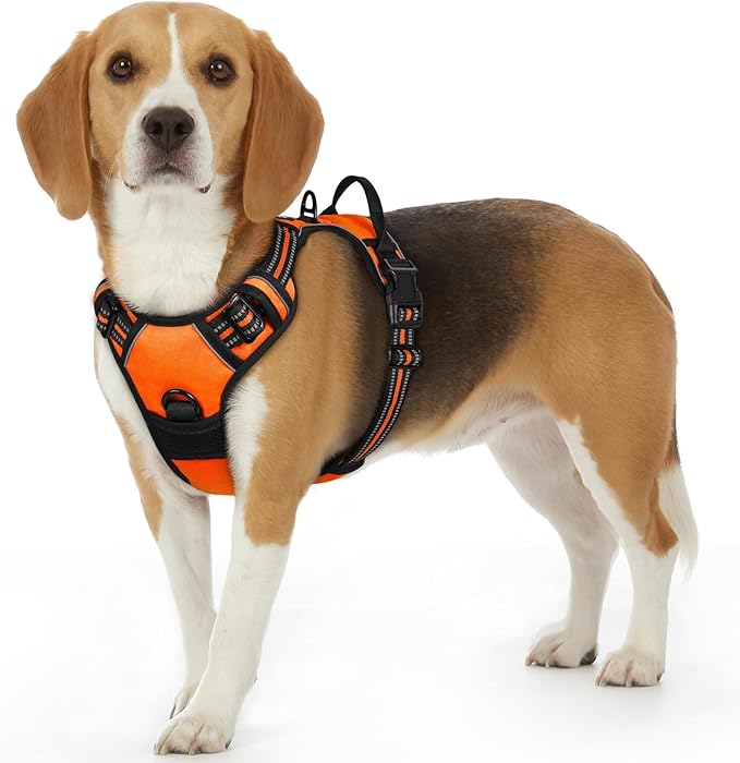 Eagloo Dog Harness Small Sized Dog, No Pull Service Vest with Reflective Strips and Control Handle, Adjustable and Comfortable for Easy Walking, No Choke Pet Harness with 2 Metal Rings, Orange, S-PawvioPets