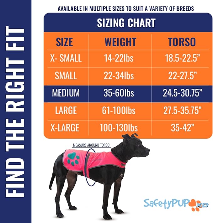 Dog Reflective Vest – Hi-Vis Fluorescent Visibility That Helps to Safeguard Your Pet On/Off Leash in Urban & Rural Areas (Pink, Medium)-PawvioPets