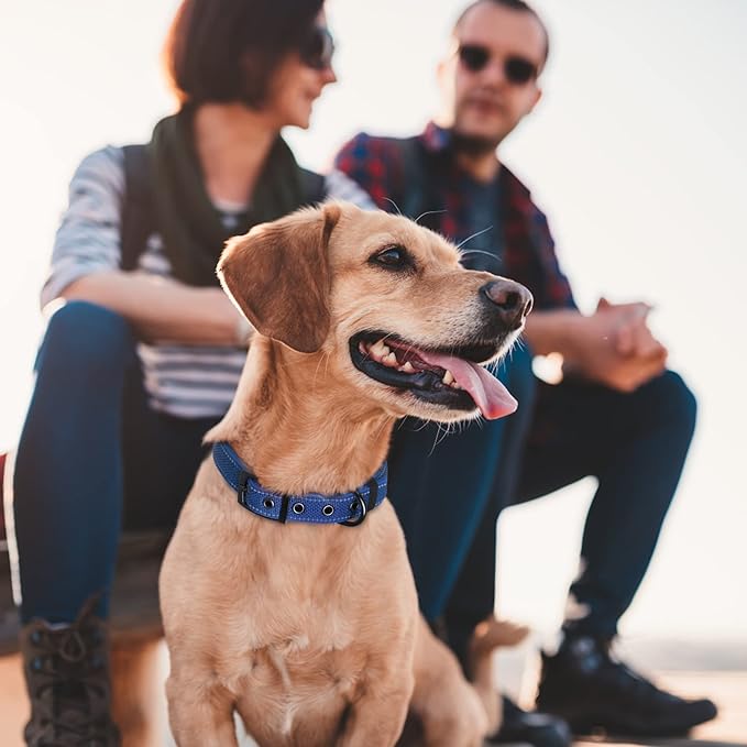Fida Heavy Duty Dog Collar, Ultra Comfortable Soft Neoprene Padded, Adjustable Reflective Nylon Pet Collar with Durable Metal Belt Buckle for Small Breeds (S, Blue)-PawvioPets