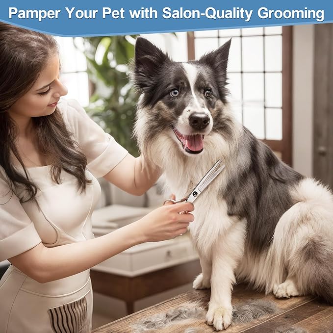 Gimars Titanium Coated Professional 6 in 1 4CR Stainless Steel Dog Grooming Scissors with Safety Round Tip, Heavy Duty Pet Grooming Scissor for Dogs, Cats and Other Animals-PawvioPets