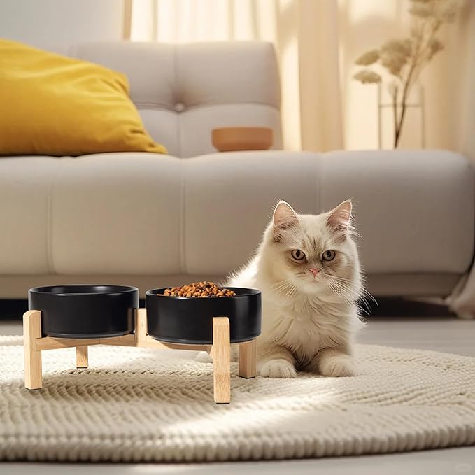 Elevated Ceramic Dog Bowl Set - Raised Feeding Bowls with Non-Slip Bamboo Stand - Small Pet Dishes for Food and Water - Ideal for Cats and Puppies - 16.23 OZ - 2 Cups - 480 ML-PawvioPets