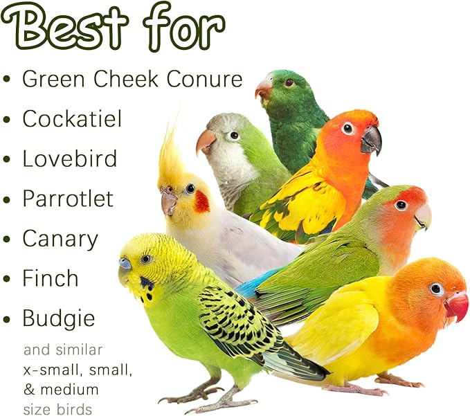 5-Pack Natural Flower Bird Toys – Foraging & Chewing Toys for Parakeets, Cockatiels, Conures & Small Birds – No Plastic, All-Natural Materials-PawvioPets