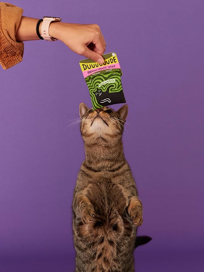 Blue Q Duuuuuuude Catnip Cat Toy. Premium Organic Catnip Grown in The USA, 100% Cotton Pouches, Kitty Graphics Sure to Delight Every Cat-Keeper.-PawvioPets
