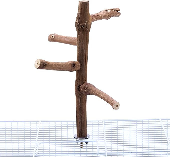Bird Perch Stand Toy, Natural Grapevine Wood Parrot Perch Bird Cage Branch Accessories for Parakeets Cockatiels Conures Macaws Finches Love Birds(9.8" Length)-PawvioPets