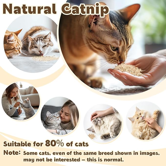 80PCS Catnip - Cat Nip for Cats Natural Dried Catnip Treats Premium Cat Nip Perfect for Toys, Training Rewards, Stress Relief, Freshly Harvested Bag Bulk Pack,2.8OZ-PawvioPets