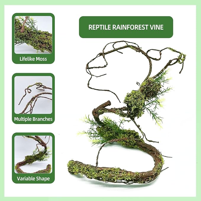 BNOSDM Reptile Vines, Bendable Jungle Climbing Vine, Terrarium Artificial Plants Decor, Reptiles Tank Accessories for Bearded Dragons, Chameleons, Snakes, Lizards, Hermit Crabs-PawvioPets