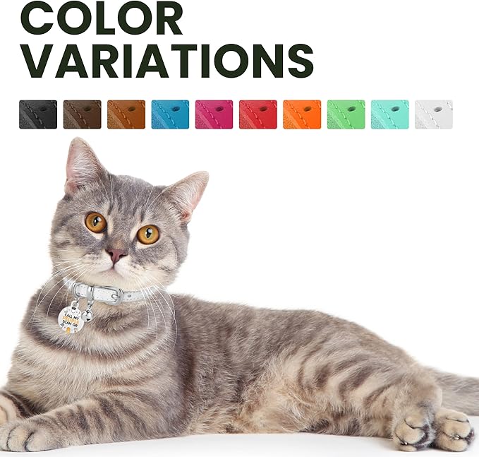 BRONZEDOG Leather Cat Collar with Removable Bells Non Breakaway Kitten QR Tag for Girl Boy (7" - 9" for Cats, White & Silver)-PawvioPets