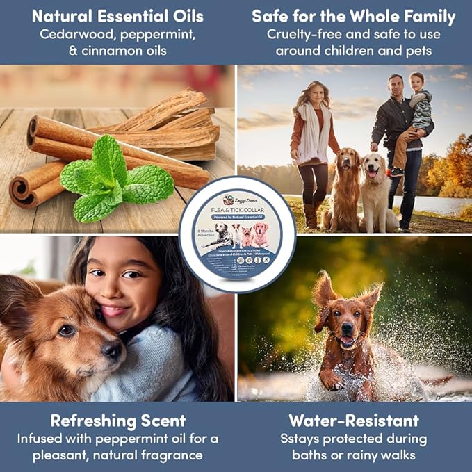 Flea and Tick Collar for Dogs, Cats – Natural Essential Oils – Long-Lasting 8 Month Protection – Waterproof, Adjustable – Safe for Puppies, Kittens, Sensitive Skin-PawvioPets