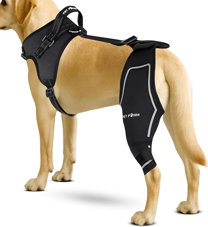 Dog ACL Knee Brace for Back Left Leg - with Integrated Harness - for Cruciate Ligament Injuries, Patellar Luxation, Post-Surgery Recovery. Durable, Breathable Material, Eases Pain - (Large)-PawvioPets