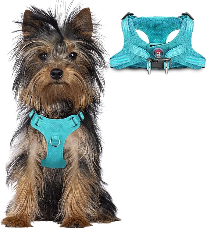 Dog Harness Step in Dog Vest Harness, Reflective Adjustable Puppy No Pull Harness Breathable Soft for Small and Medium Dogs Cats, Ocean Blue, XXS-PawvioPets