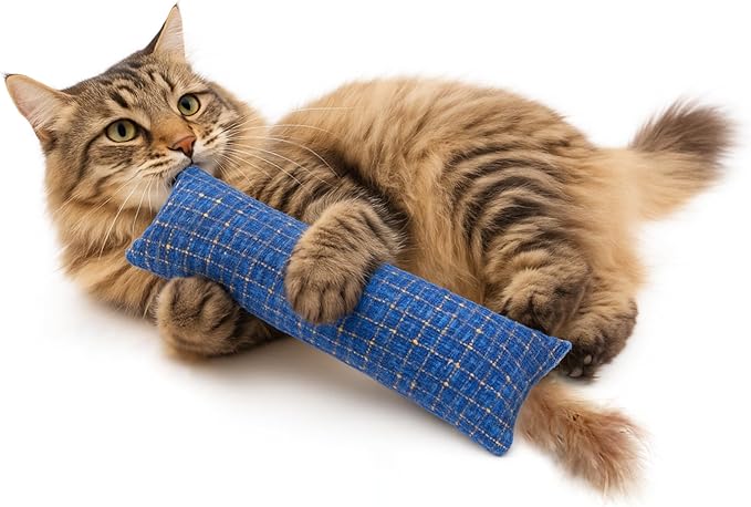 2 Pack Natural Interactive Catnip Cat Kicker Toys, Bite Resistant Chew Toy, Accessories for Indoor Cat (Twill Weave)-PawvioPets