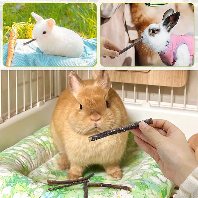 600g Small Apple Sticks Animals Molar Wood Treats Toys for Rabbits Chinchillas Guinea Pig Hamster Gerbil Parrot Bunny Chew Stick Toys Treats, 21.2 OZ-PawvioPets