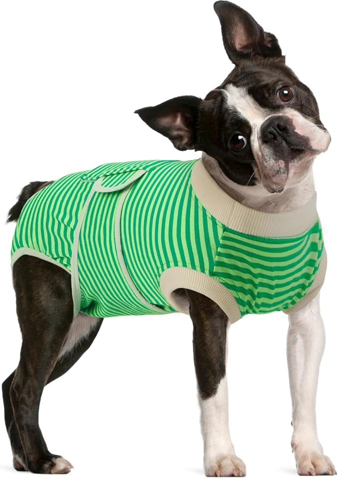 FUAMEY Dog Recovery Suit Male,Dogs Surgery Neuter Suits Puppy Spay Shirts for Female Protect Dog's Skin Anti Licking Abdominal Wounds Doggie Onesie Pet Bodysuit Alternative to Cone Green Stripes L-PawvioPets