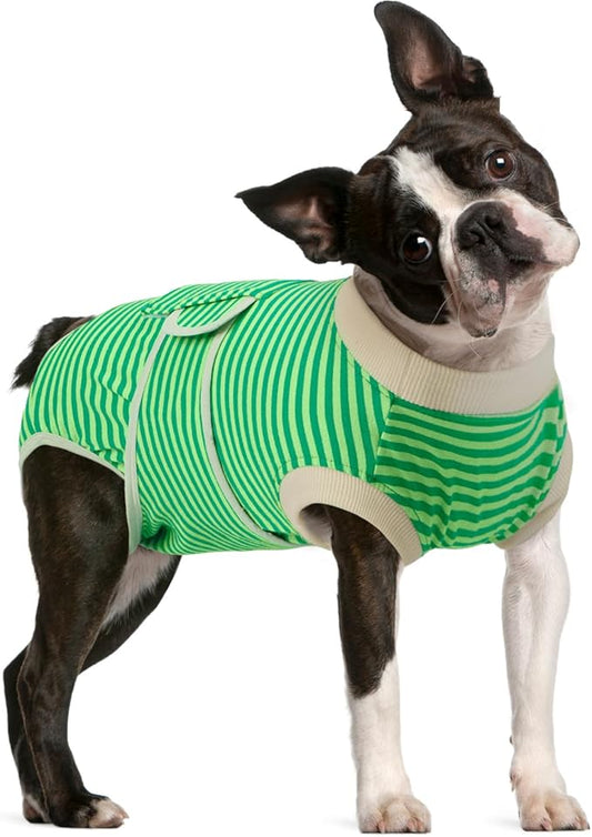 FUAMEY Dog Recovery Suit Male,Dogs Surgery Neuter Suits Puppy Spay Shirts for Female Protect Dog's Skin Anti Licking Abdominal Wounds Doggie Onesie Pet Bodysuit Alternative to Cone Green Stripes L-PawvioPets