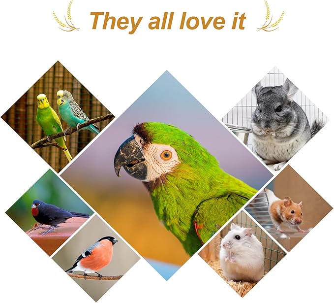 Amzey 5.5 LB Spray Millet for Parakeets, 100% Natural Dried Millet Grain for Birds, Non-GMO Bird Treat for Cockatiel, Finches, Parrots & Lovebirds-PawvioPets