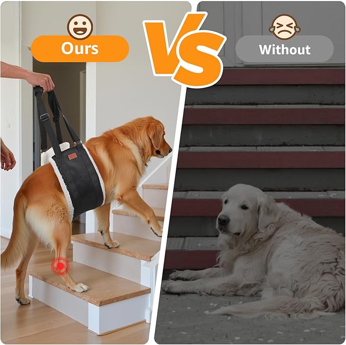 Adjustable Dog Lift Harness, Dog Sling for Large Dogs Lift Support and Rehab Harness for Weak Rear Legs, Soft Hind Leg Support Helps Senior, Injured,Disabled and After ACL Surgery Dogs(Black,X-Large)-PawvioPets