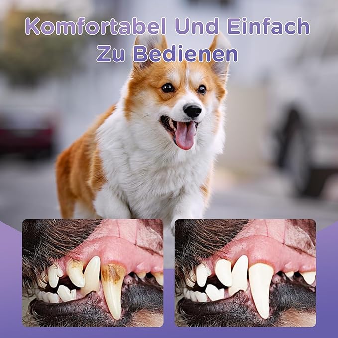 6Pcs Pet Oral Repair Gel, Dog Oral Repair Gel, Pet Breath Freshener for Cats and Dogs, Removes Tartar, Keeps Breath Fresh, Strengthens Teeth,No Brushing Oral Care Cleaner,3ML-PawvioPets