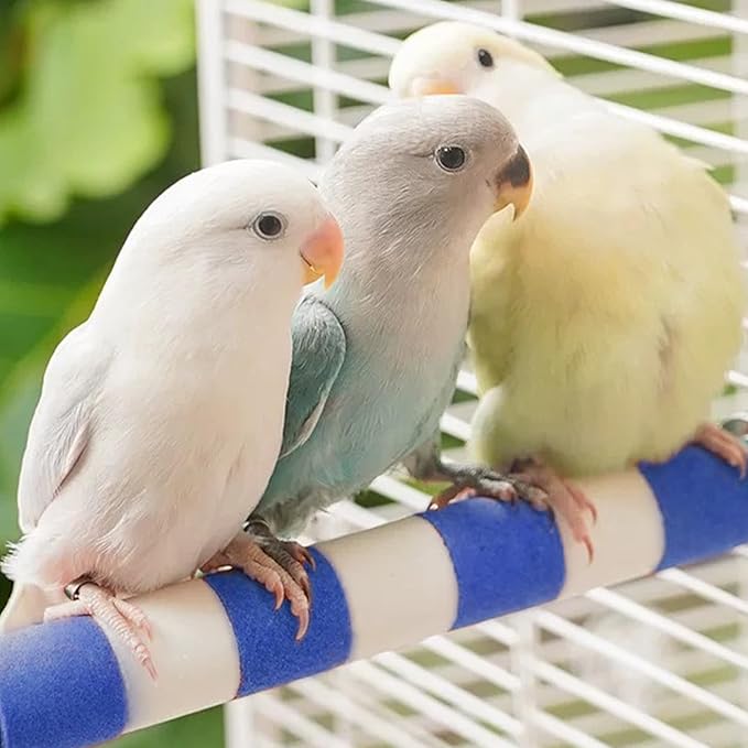 Bird Perches for Cage Bird Cage Accessories Toys Parrot Sand Paw Grinding Stick for Budgies Lovebirds Cockatiels Conures Quakers Small to Medium Birds-PawvioPets