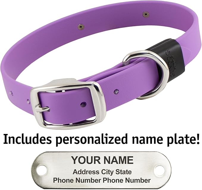 Biothane Custom Dog Collar – Waterproof, Stink-Proof Personalized Collar with Name & Phone Number – Durable, Many Sizes and Colors – Assembled in USA (Amethyst Purple)-PawvioPets