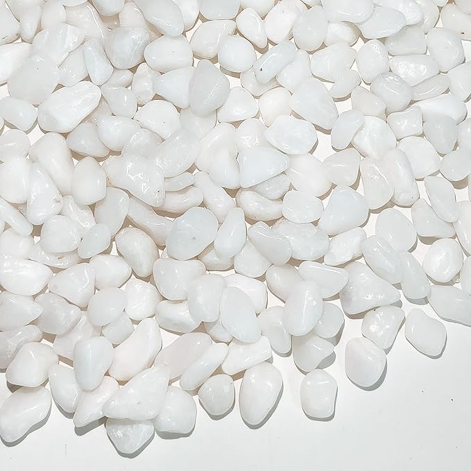 2 Pounds White Pebbles for Indoor Plants, 3/8 Inch Polished White Rocks, Decorative River Rocks for Potted Plants Vase Cactus Bird Bath and Outdoor Garden Landscaping-PawvioPets