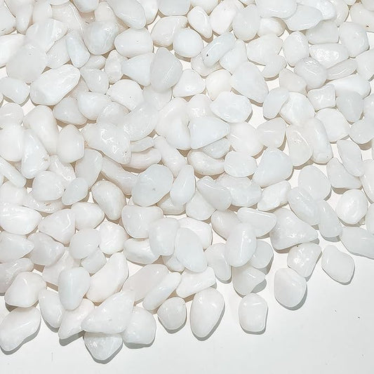 5 lbs White Pebbles for Indoor Plants, 3/8 Inch Decorative White Gravel, Polished River Rocks for Potted Plants Vase Cactus Bird Bath and Outdoor Garden Landscaping-PawvioPets