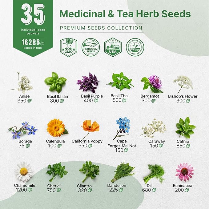 35 Medicinal & Tea Herb Seeds Variety Pack for Indoor & Outdoors. 16,335+ Non-GMO Heirloom Garden Seeds: Anise, Bergamot, Borage, Cilantro, Chamomile, Dandelion, Rosemary Seeds & More-PawvioPets