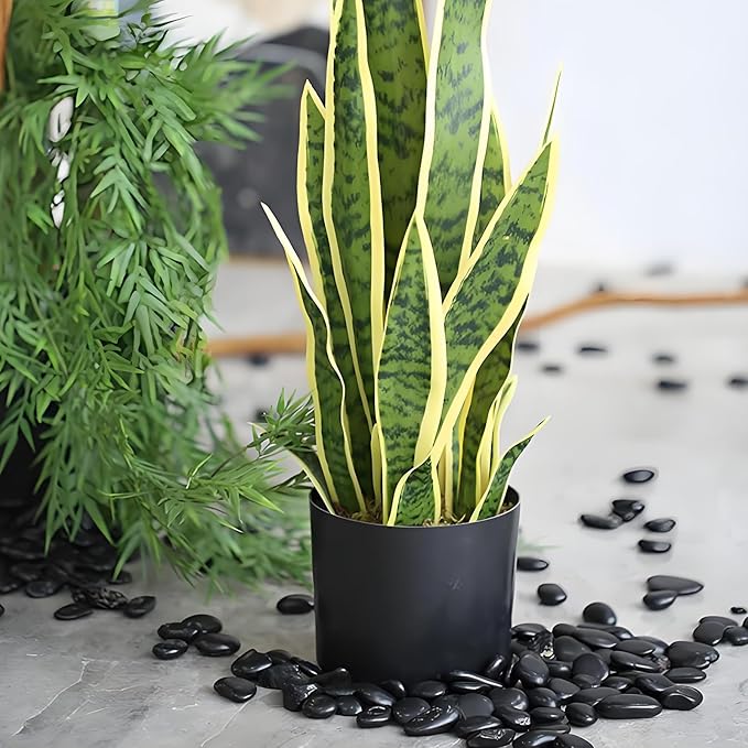 Black Pebbles - 3/8 inch Small Stones for Indoor Plants, Succulents, Aquariums & Landscaping-PawvioPets