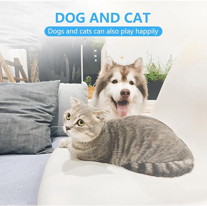 Cat Dog Specific Nail Clipper, Avoiding Excessive Cutting, Suitable for Beginners. It Can Also be Used for Small Animals Such as Birds, Hamsters, Rabbits, Hedgehogs, Ferrets, Guinea Pigs, Etc.-PawvioPets