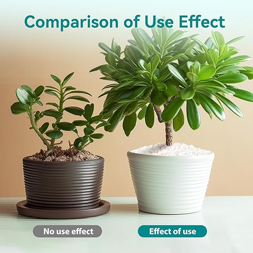 2.5 lbs Small White Rocks for Planters, 3/8" White Pebbles for Vases, Decorative Small Stones for Plants, Succulents, Bamboo, Terrarium, Landscape, Garden-PawvioPets