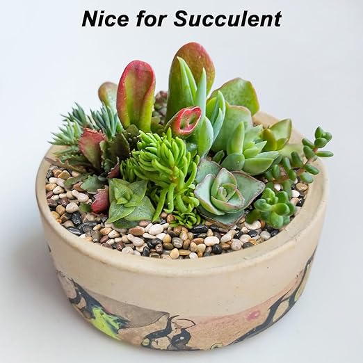 Decorative Rocks for Potted Plants,Virekm River Rocks, Decorative Ornamental Pebbles,Garden Landscaping Stones Gravel Filler for Home Decoration Flower Bed Fish Tank Plants Vases Succulents (5 Pounds)-PawvioPets