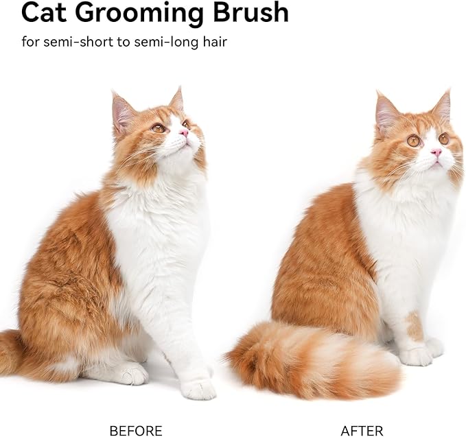 Aumuca Cat Brush for Shedding, Cat Brushes for Indoor Cats, Cat Brush for Long or Short Haired Cats, Cat Hair Brush Cat Grooming Deshedding Brush for Dog Kitten Horse Massage Removes Loose Fur, White-PawvioPets