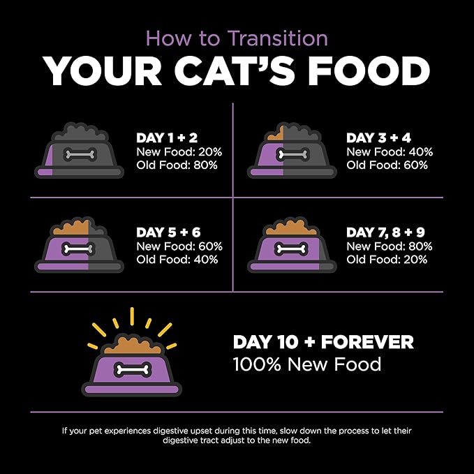 Go! Solutions Carnivore, Grain-Free, Protein Rich Dry Cat Food, Chicken, Turkey and Duck Recipe, 3 lb Bag-PawvioPets