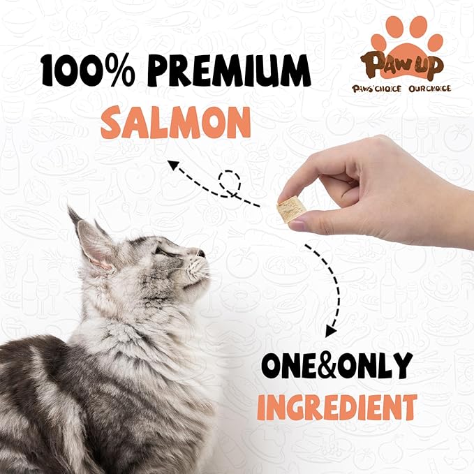 Freeze Dried Salmon Cat Treats, Single Ingredient Raw Cat Food Toppers, Healthy Training Treats for Dogs, Cats, 3.8 oz-PawvioPets