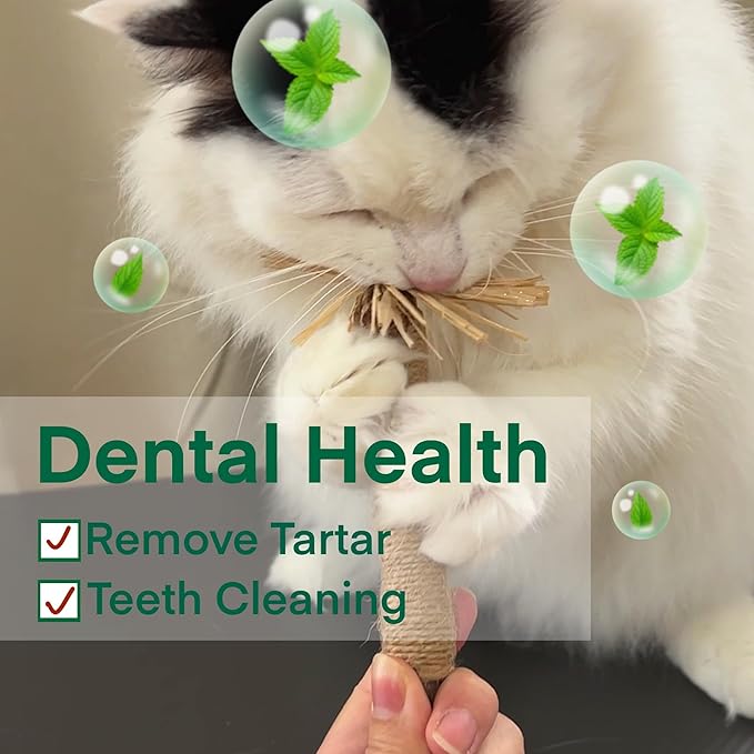 8.66 inches Silvervine Sticks Cat Toys, Natural Catnip Kittens Chew Toy for Teeth Cleaning,Big Catmint Blend Stick, Dental Kitty Chews for Indoor(5 Pack)-PawvioPets