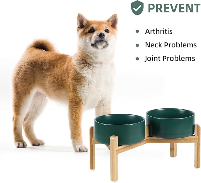 Ceramic Raised Double Bowls Set with Stand, Food & Water Bowls for Medium Breed Dogs, Weighted Dog Dishes, Pet Bowl(7.3'',41OZ, Green)-PawvioPets