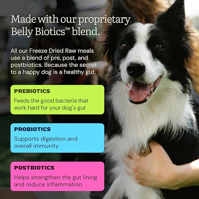 Get Joy Gut Health Fresh Freeze Dried Raw Meal, Beef Recipe, 32 Ounce Bag, Dog Food for Dogs of All Breeds and Life Stages, PhD Animal Nutritionist Formulated, USDA Beef, Made in USA-PawvioPets