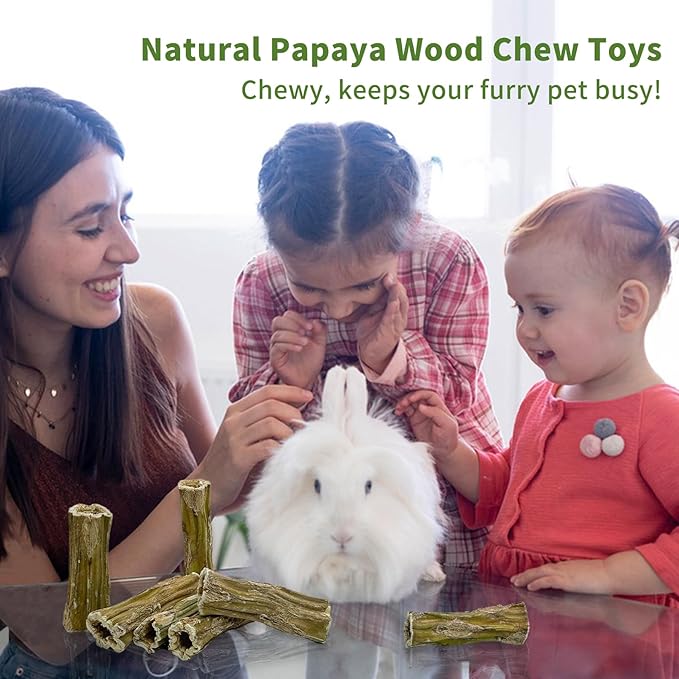 Fhiny Rabbit Chew Toys, 6 PCS 3.9" Natural Papaya Wood Chew Sticks Guinea Pig Treats for Dental Care Bunny Treats for Rabbits Small Pet Molar Snacks for Bunny Guinea Pig Chinchilla Hamster Gerbil-PawvioPets