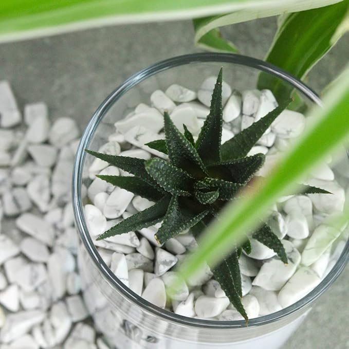 1lb Howlite Aquarium Gravel Rocks Natural Tumbled Healing Crystal Chips Bulk Gemstones Crushed Stones for Fountain Vase Filler Planters Decorative Fish Tank Potted Reiki Energy Balancing-PawvioPets