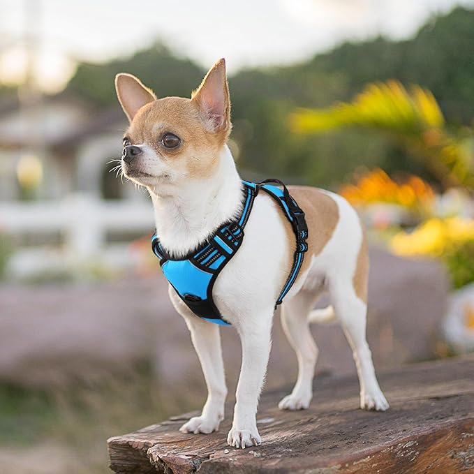 Eagloo Small Dog Harness No Pull, Service Vest with Reflective Strips and Control Handle, Adjustable and Comfortable for Walking, No Choke Pet Harness with 2 Metal Rings, Sky Blue, XS-PawvioPets