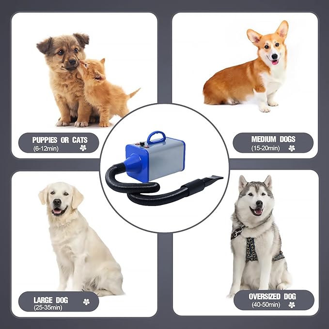 2400w 75m/s Dog Dryer for Pet Grooming, High Velocity Pet Hair Dryer with Heater, Adjustable Speed, 4 Nozzles and a Comb, Blue-PawvioPets