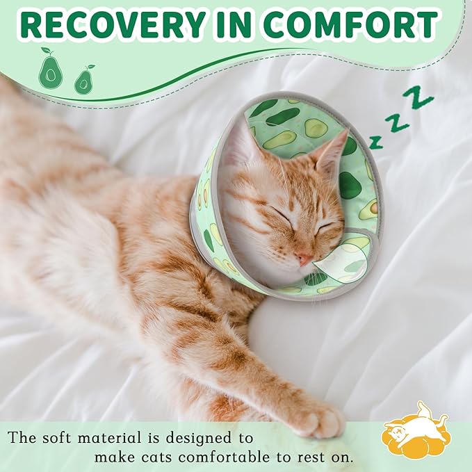 Cat Cone Collar Soft, Comfortable Cat Recovery Collar Pet Cone for Small Large Cats, Lightweight Elizabethan Collar for Cats Kittens After Surgery Prevent from Licking Wounds, Green, M-PawvioPets