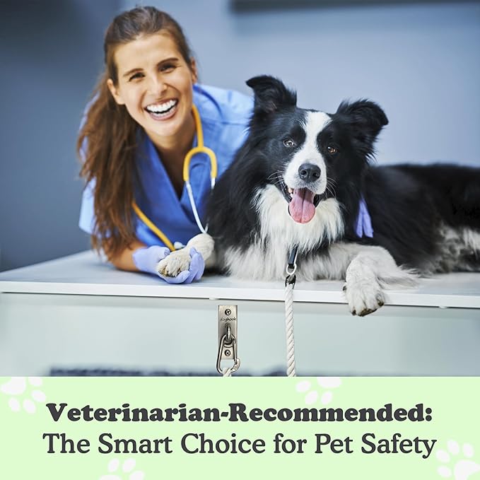 Canine Hitch- Secure Dog Leash Parking Indoor- Outdoor Wall Hook with Clip - Tie Out Stainless Steel - Practical Lead Management for Home & Business-PawvioPets