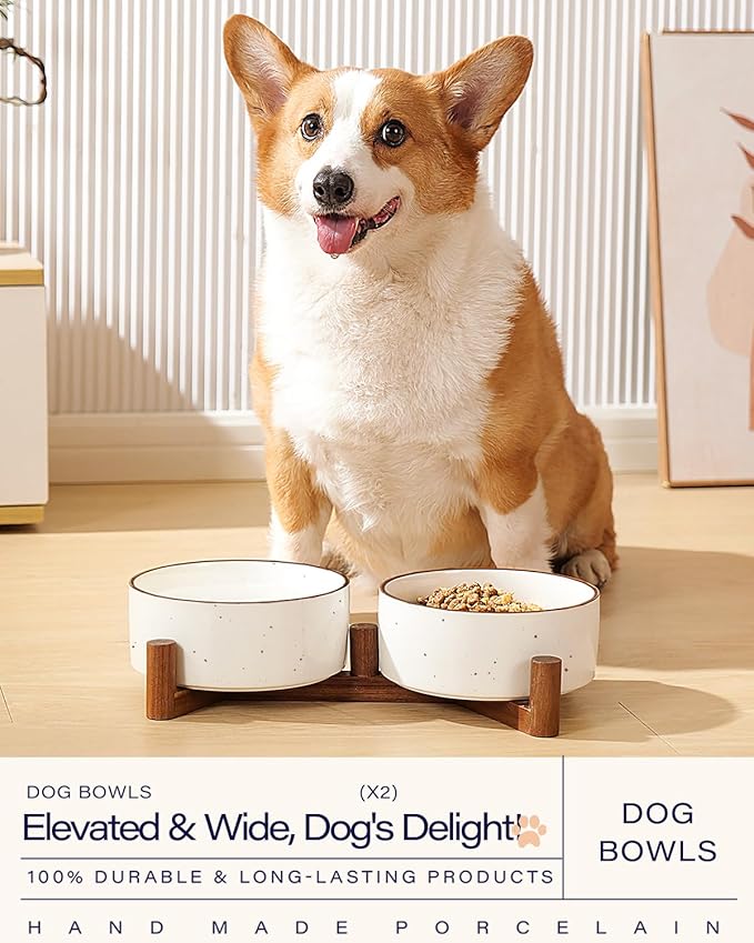 Getstar Ceramic Dog Bowls with Acacia Wood Stand, 30 fl oz, Set of 2, Dog Food Bowl with Colored Rim-PawvioPets