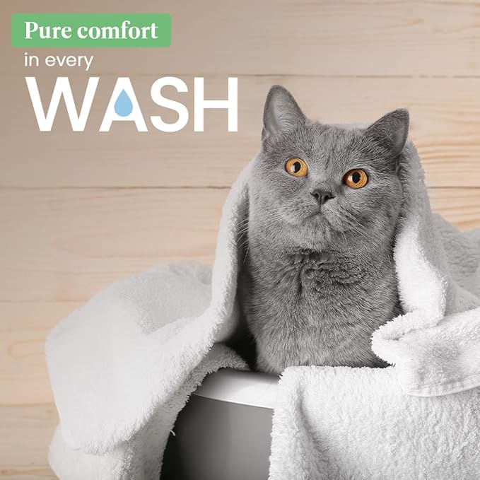 Best Shot Scentament Spa Seasonal Facial & Body Wash, Mango Maui, 16 oz-PawvioPets