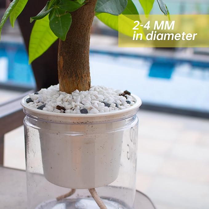 3lb White Cactus Pea Gravel Rocks,1/4 Inch Pebbles for Indoor Plants, Natural Succulent Rock and River Rocks Decorative for Aquariums, Vases, Outdoor Gardening, Top Dressing for Potted Plants-PawvioPets