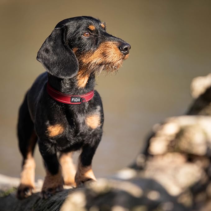 Fida Heavy Duty Dog Collar, Ultra Comfortable Soft Neoprene Padded, Adjustable Reflective Nylon Pet Collar with Durable Metal Belt Buckle for Medium Breeds (M, Red)-PawvioPets