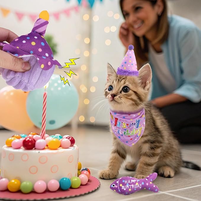 BINGPET Cat Birthday Catnip Toys for Indoor Cats,Cat Birthday Hat,Bandana and Cat Birthday Cake Interactive Plush Kitten Chew Toys,Cute Fish,Balloon Toys with Crinkle Paper and Catnip Inside(Purple)-PawvioPets