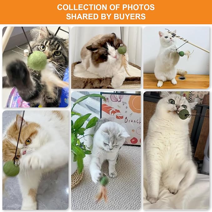 Cat Feather Toys with Catnip Ball, Feathers & Bell - 2 Replaceable Mouse Heads, Elastic Rope & Wooden Handle for Aggressive Kittens, Durable Bite-Proof Interactive Cat Teaser for Indoor Play-PawvioPets