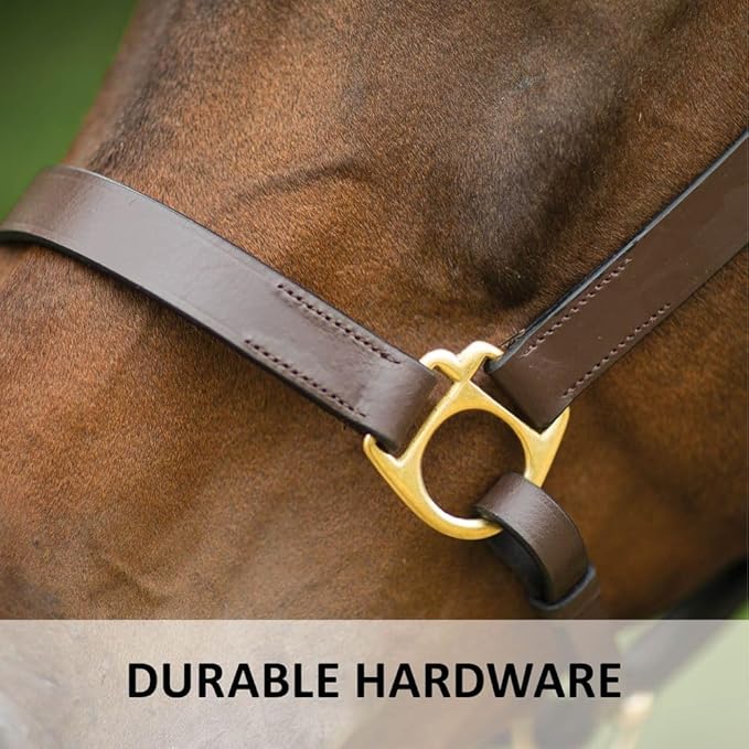 Dura-Tech Premier Lancaster Leather Halter for Horses | Simple Economy Leather Halter with Adjustable Fit & Solid Brass Hardware-PawvioPets
