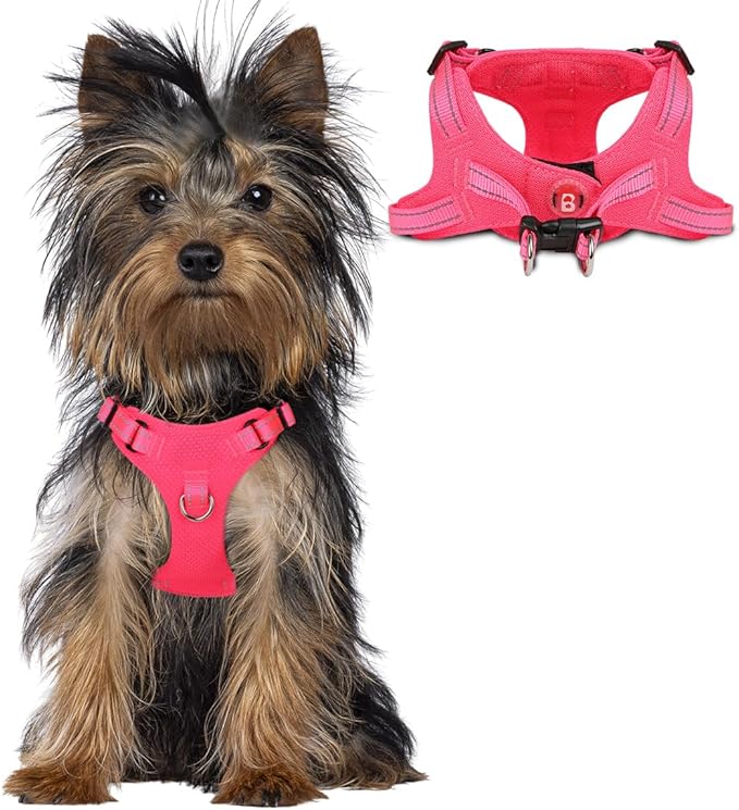 Dog Harness Step in Dog Vest Harness, Reflective Adjustable Puppy No Pull Harness Breathable Soft for Small and Medium Dogs Cats, Pink, XXS-PawvioPets